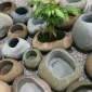 廠家石頭花盆鵝卵石多肉花器水培植物桌面創(chuàng)意原生態(tài)天然花瓶