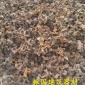 大量出售優(yōu)質(zhì) 舊建筑扣件 舊轉(zhuǎn)向 舊十字 舊接頭扣件 廠家