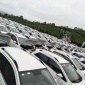 觀山湖車世家汽車全車貼膜龍膜