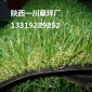 西安人工草皮、西安人工草皮廠家
