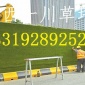 圍擋草坪 圍擋草皮 西安圍擋草坪草皮廠家