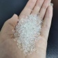 批發(fā)PPPE專業(yè)增韌劑顆粒