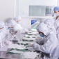 廣州24k金面膜-緊膚面膜-黃金面膜代加工廠家