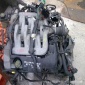 豐田霸道吉普 2700 柯斯達 考斯特 3RZ 金杯閣瑞斯分電器 發動機